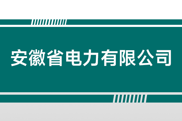 安徽省電力有限公司